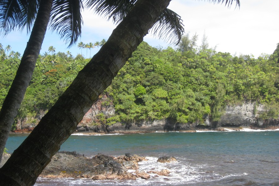 ../image/hawaii tropical botanical garden - onomea bay2 .jpg